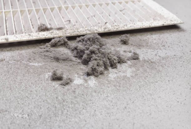 Best Commercial Air Duct Cleaning  in Pittsburg, TX