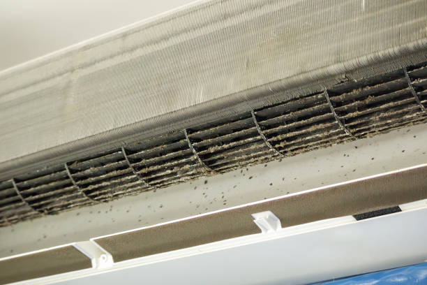 Ductwork Cleaning Services in Pittsburg, TX